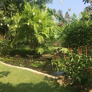 Le Jardin D'alice Phan Thiet